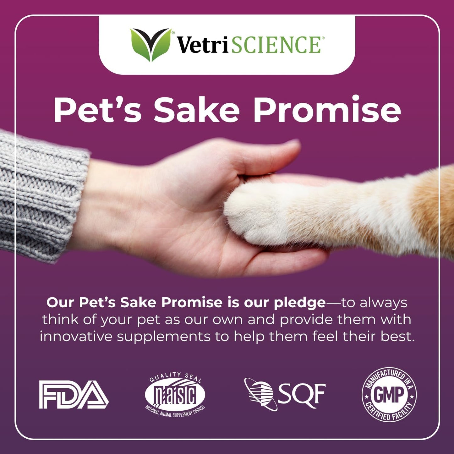 VetriScience Vetri Lysine Plus  Immune Support Cat Supplements - 120 Chews