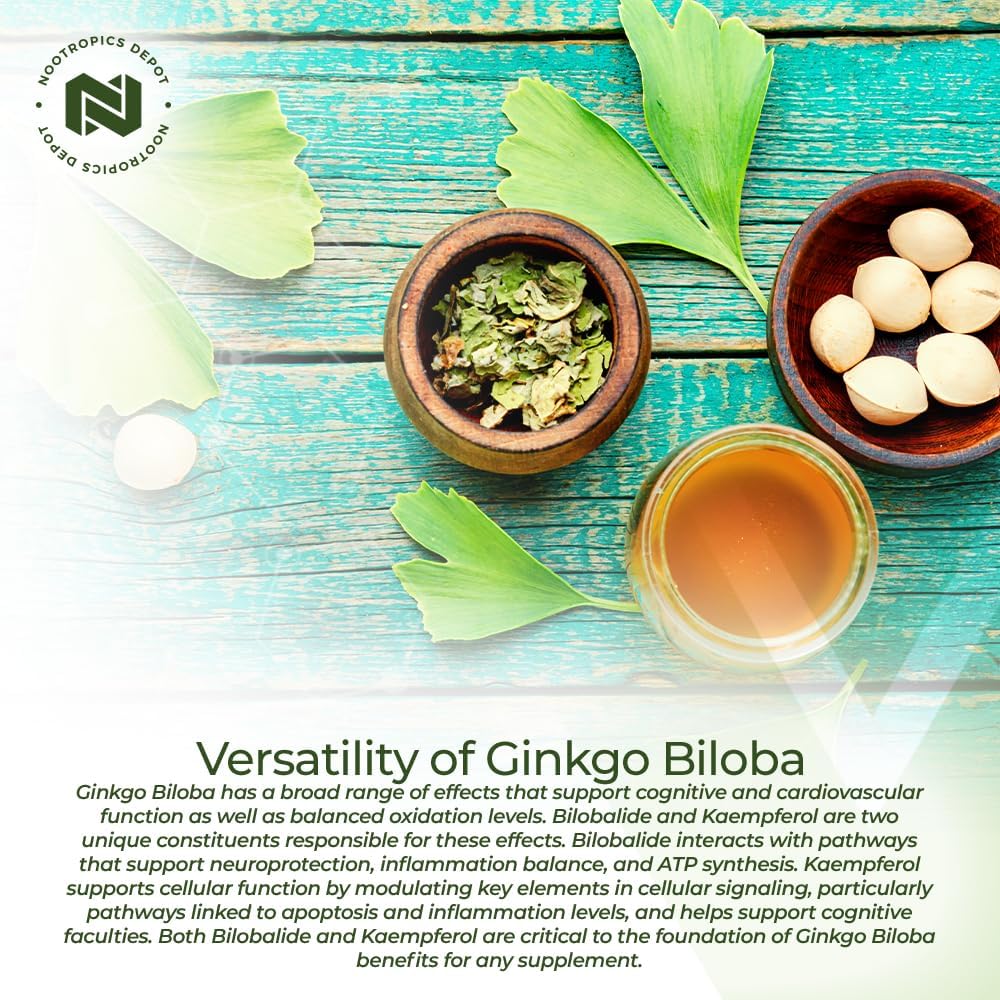 Nootropics Depot Ginkgo Biloba Extract 90 Tablets