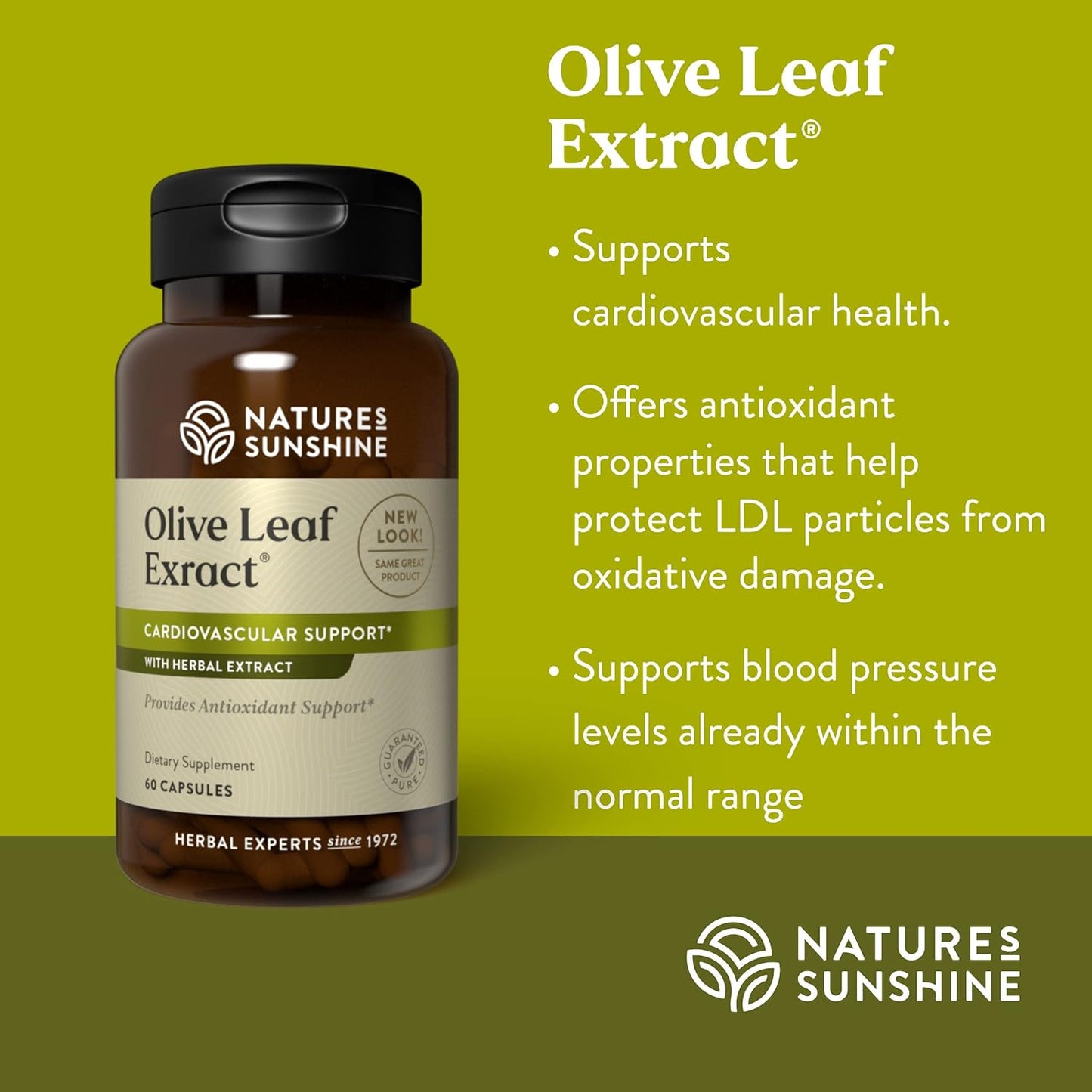 Nature's Sunshine Olive Leaf Extract Concentrate 60 Capsules