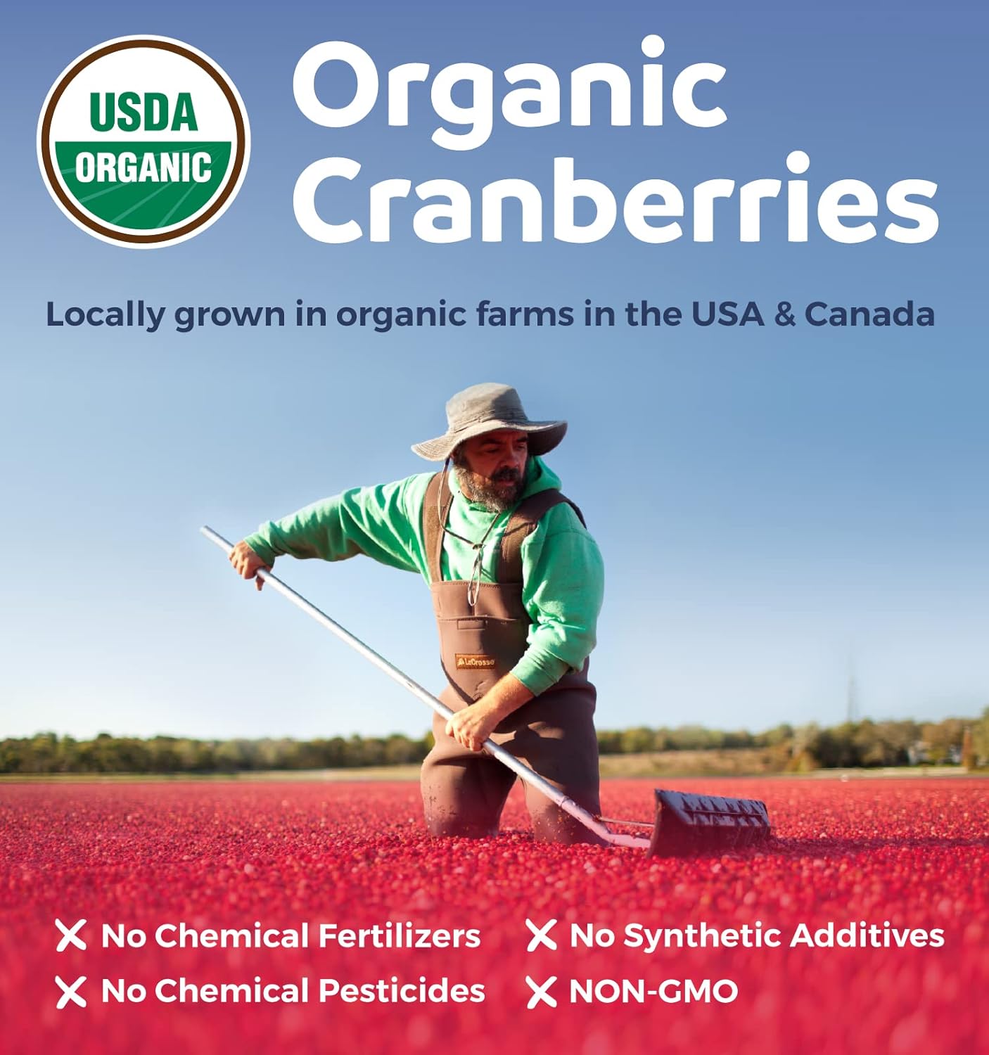 Organic Cranberry Pills - 50:1 Concentrate Equals 60 Capsules