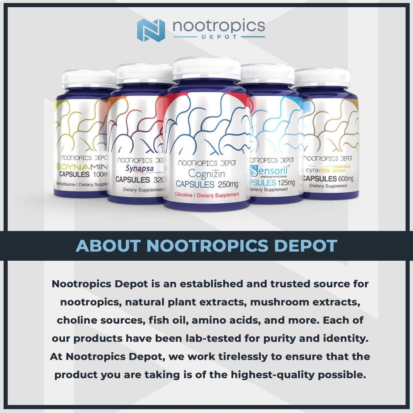 Nootropics Depot Vitamin D3 + K2 with Vitamin C  60 Tablets