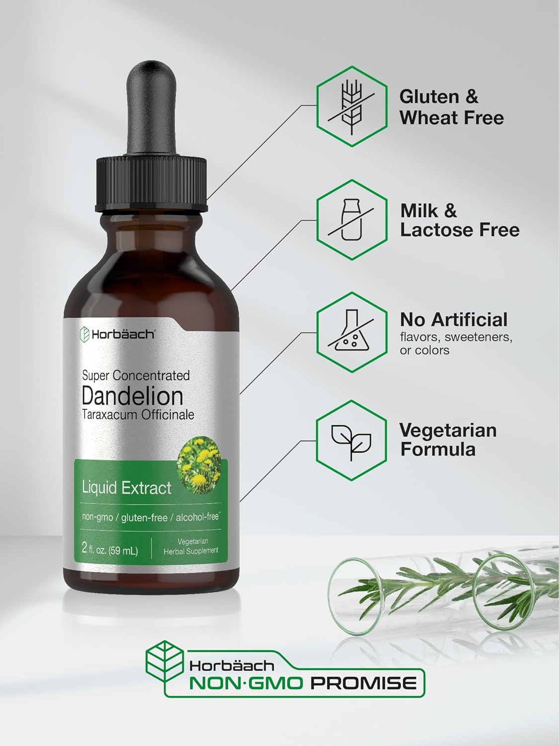 Dandelion Root Extract  Super Concentrated  Alcohol Free Liquid