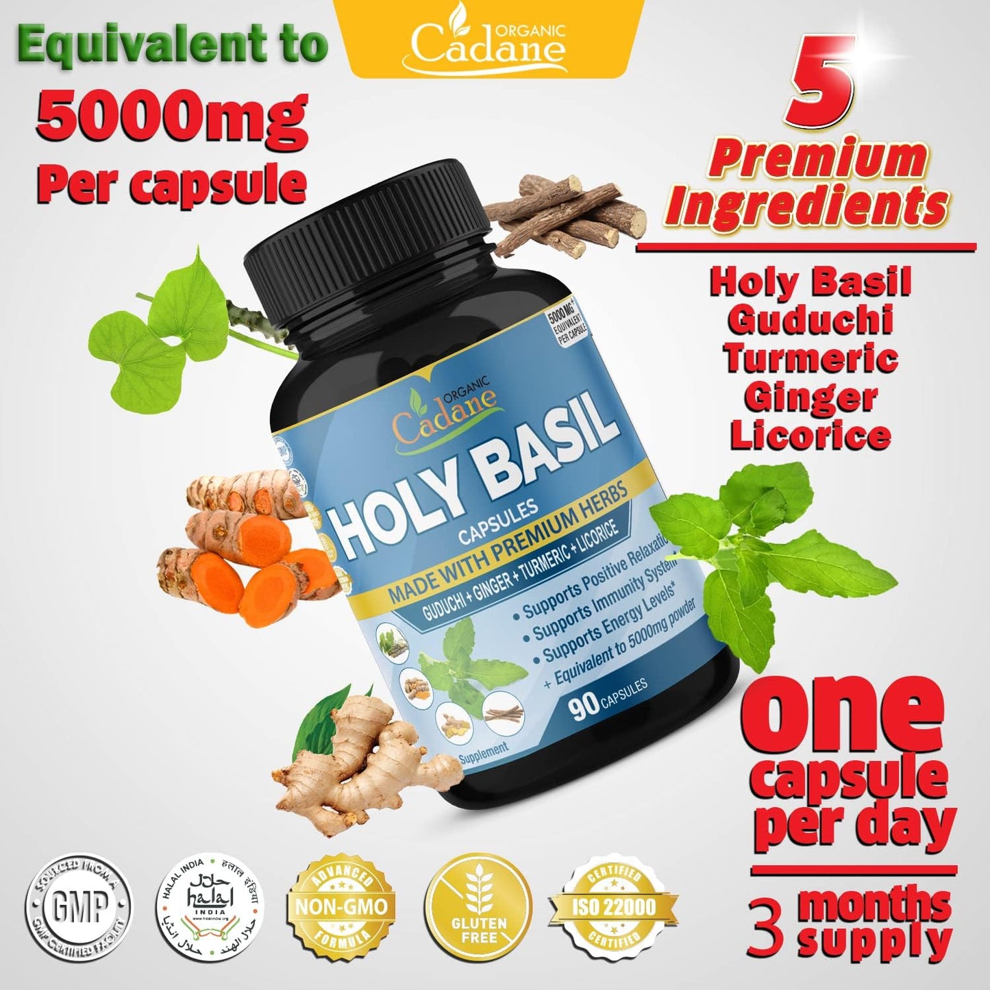 Holy Basil Supplements  90 Capsules