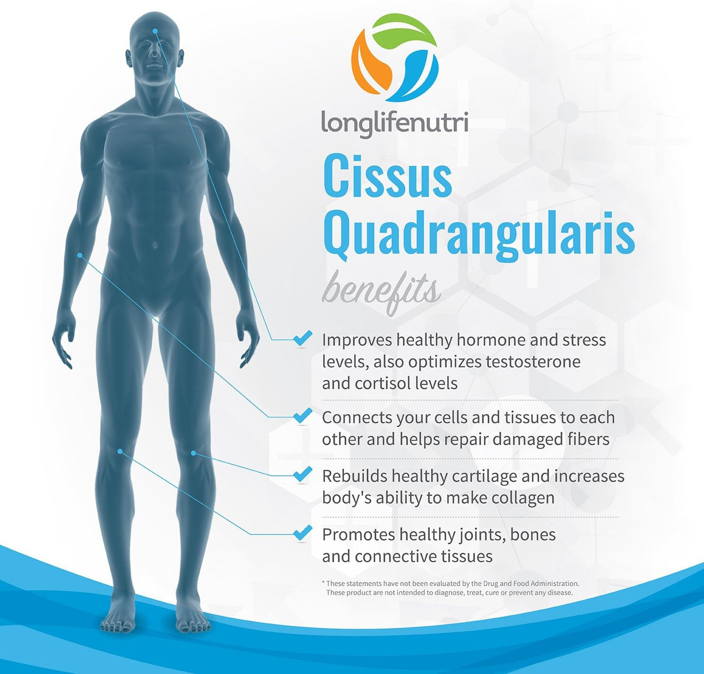 Cissus Quadrangularis Extract  180 Vegetarian Capsules