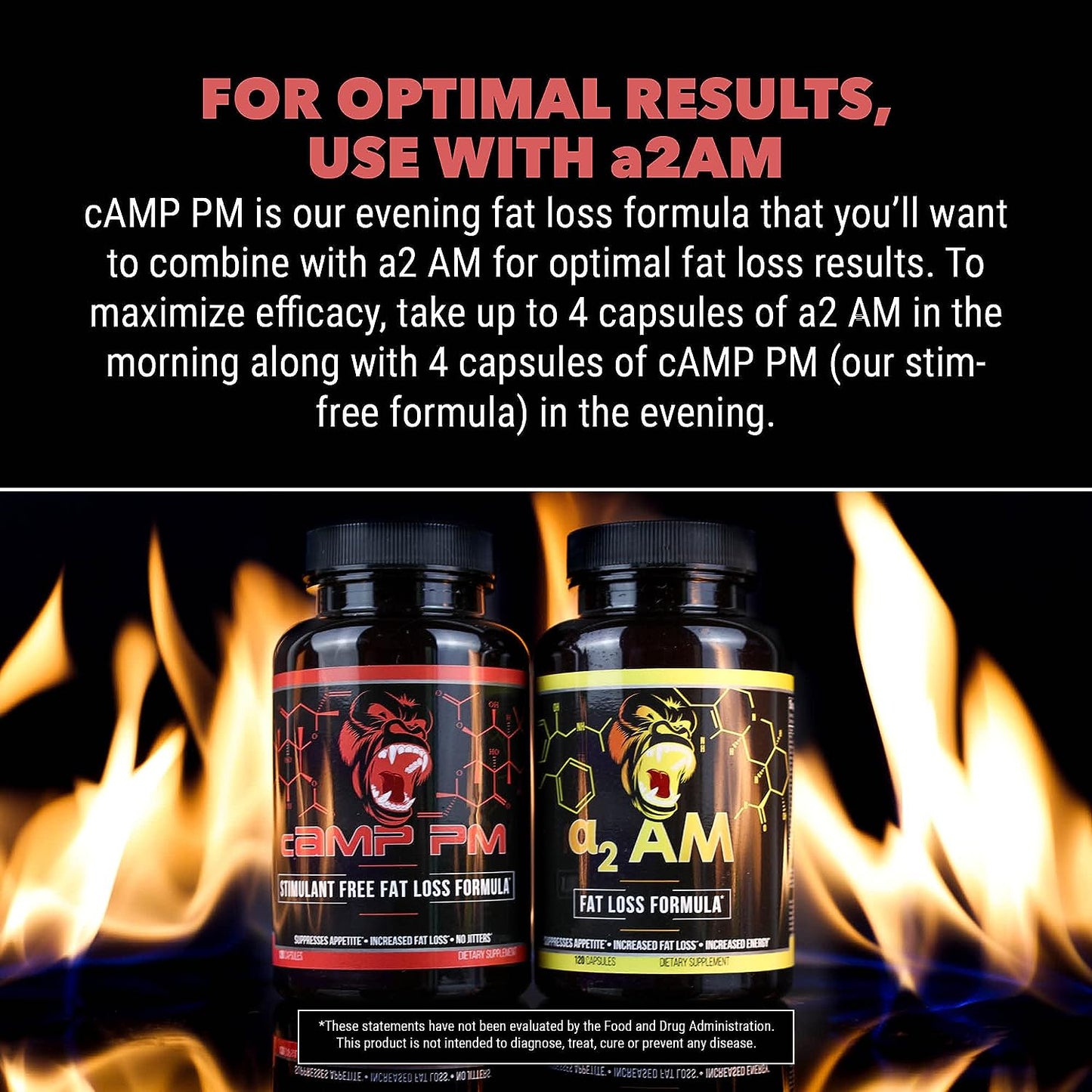 Gorilla CAMP PM STIM-FREE FAT LOSS FORMULA 120 Capsules