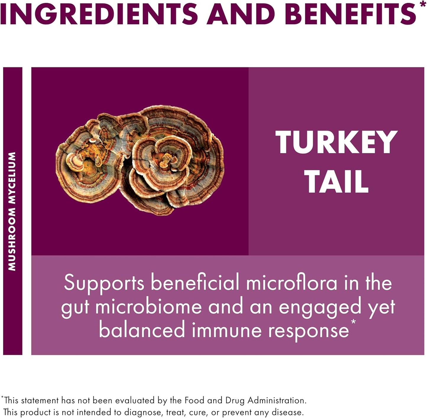 Host Defense Turkey Tail Extract - Digestive Health & Immune Response Support Supplement - 2 fl oz