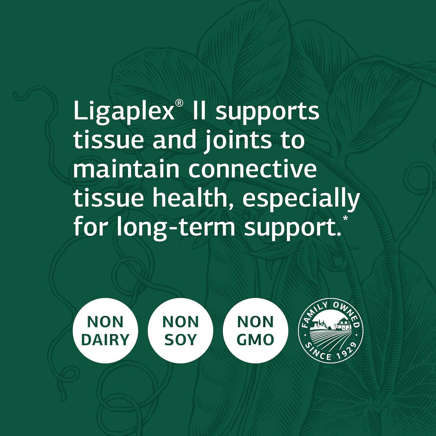 Standard Process Ligaplex II - Joint & Bone Support Supplement - 150 Capsules