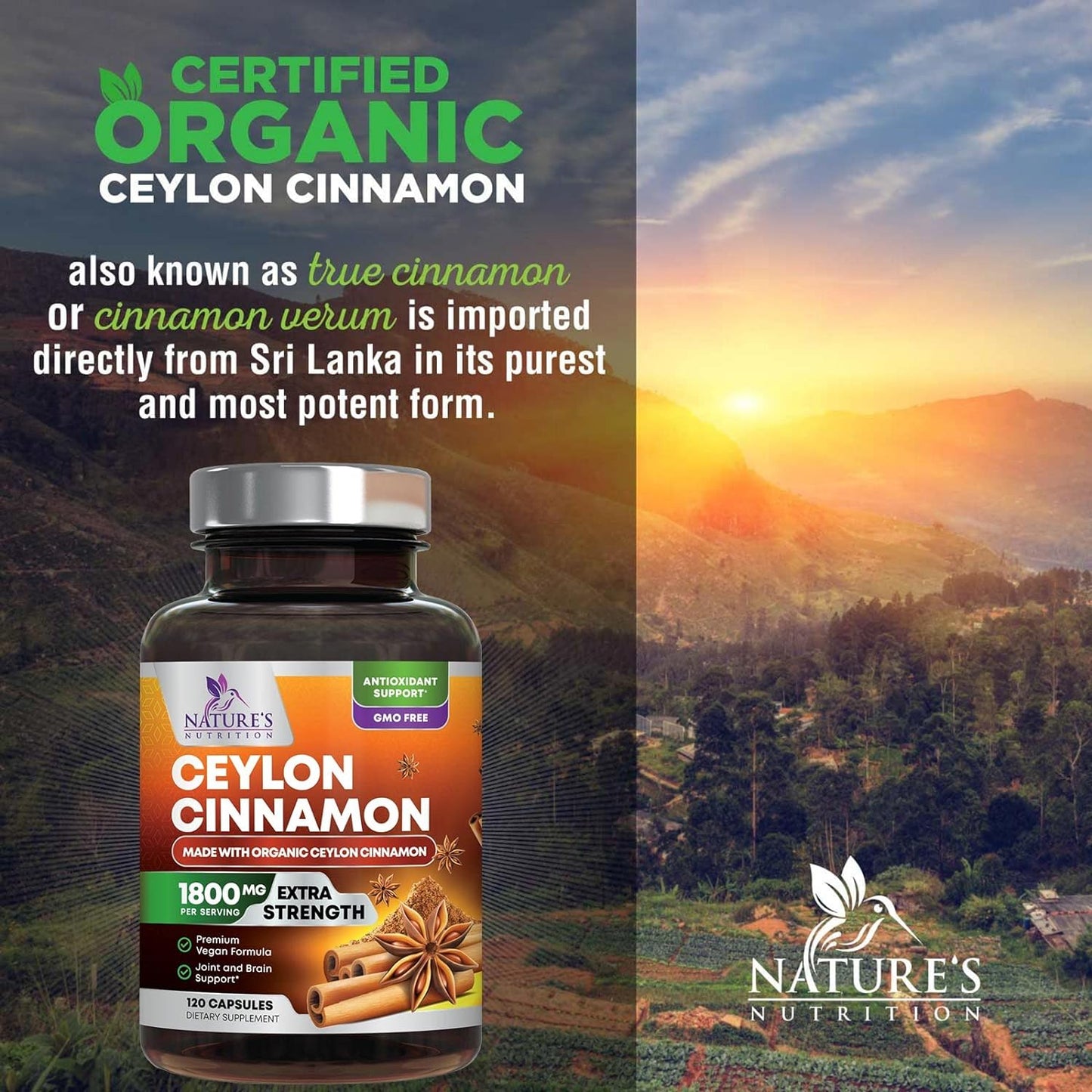 Pure Cinnamon Capsules, Certified Organic Ceylon Cinnamon - 120 Capsules