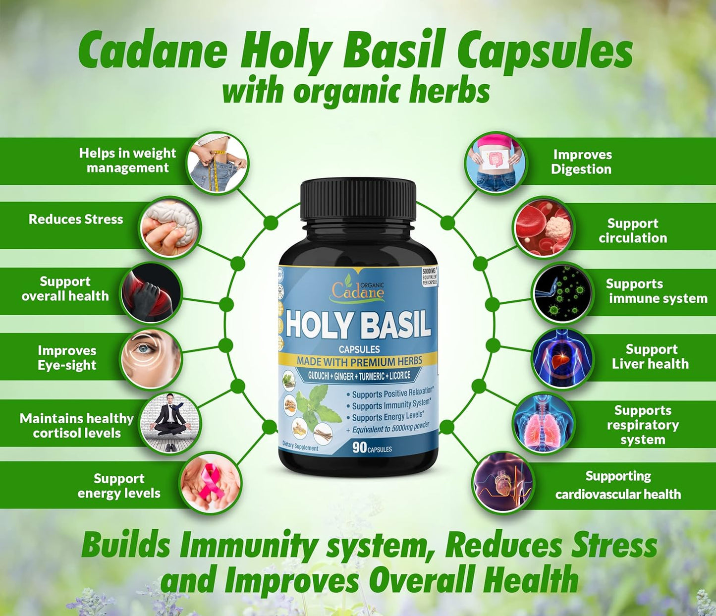 Holy Basil Supplements  90 Capsules