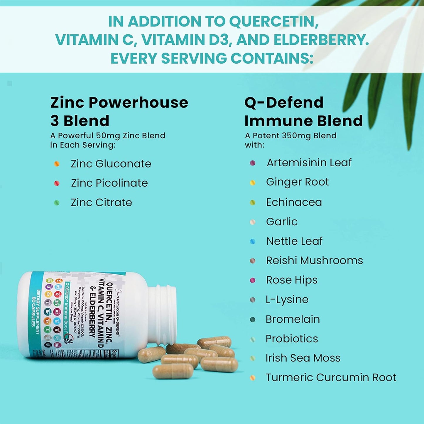 Quercetin Zinc  Vitamin C  Vitamin D  Bromelain Elderberry 60 capsules