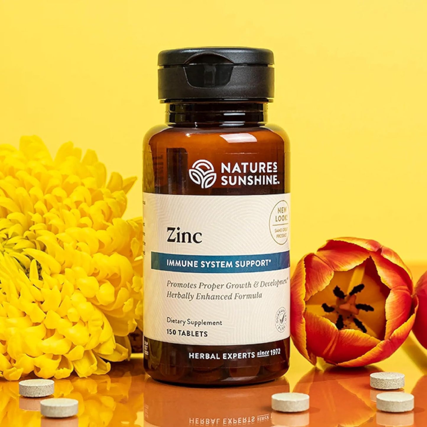 Nature's Sunshine Zinc 25mg, 150 Tablets