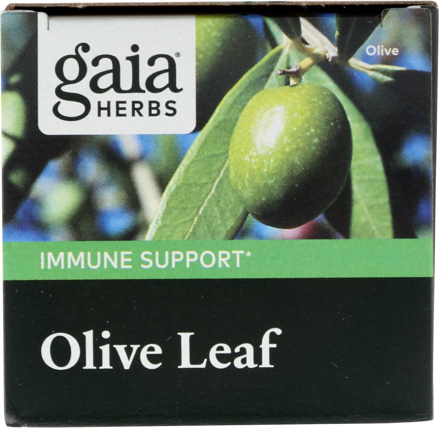 Gaia Herbs Olive Leaf - Traditional Immune Health Support 60 capsules