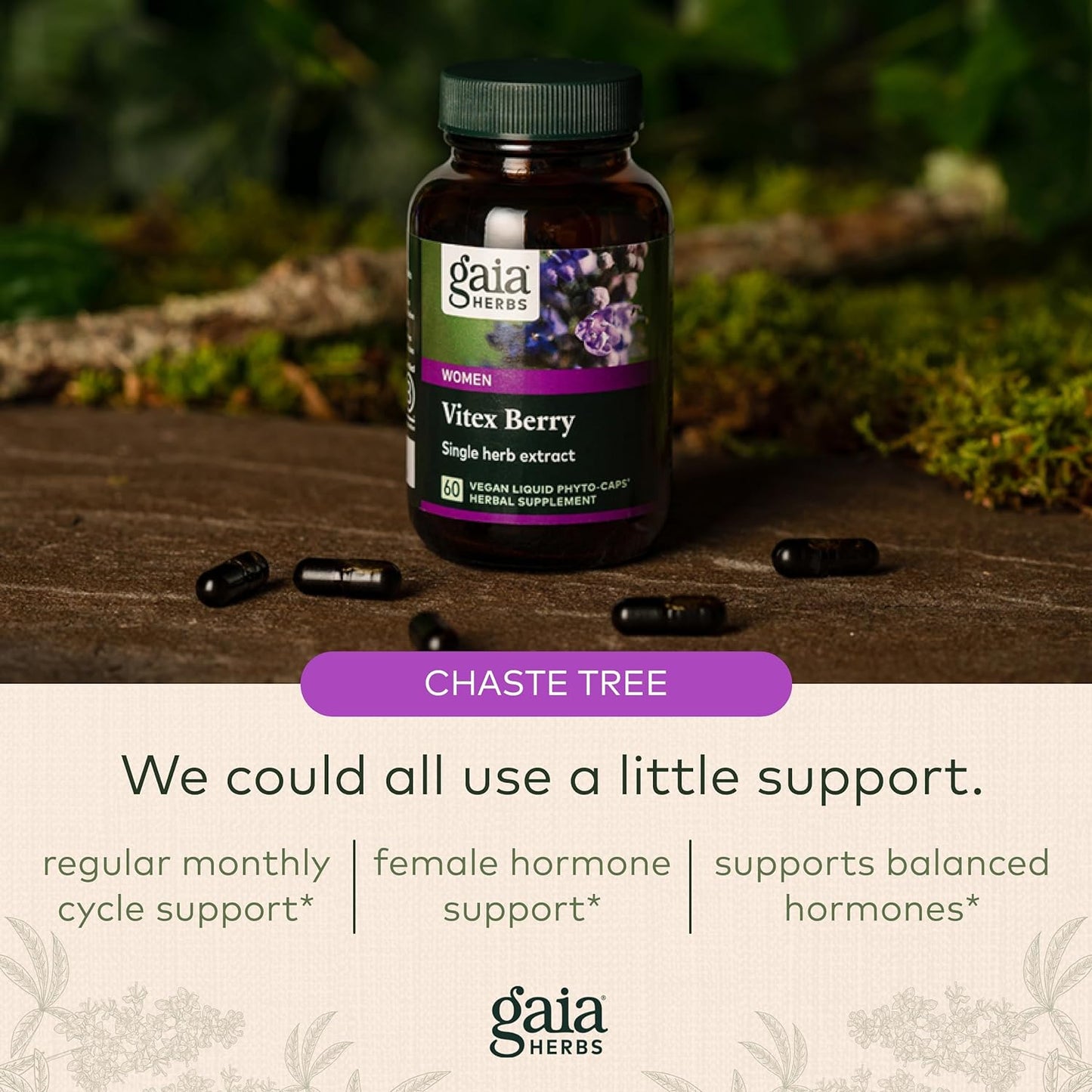 Gaia Herbs Vitex Berry  - Supports Hormone Balance & Fertility for Women 60 capsules