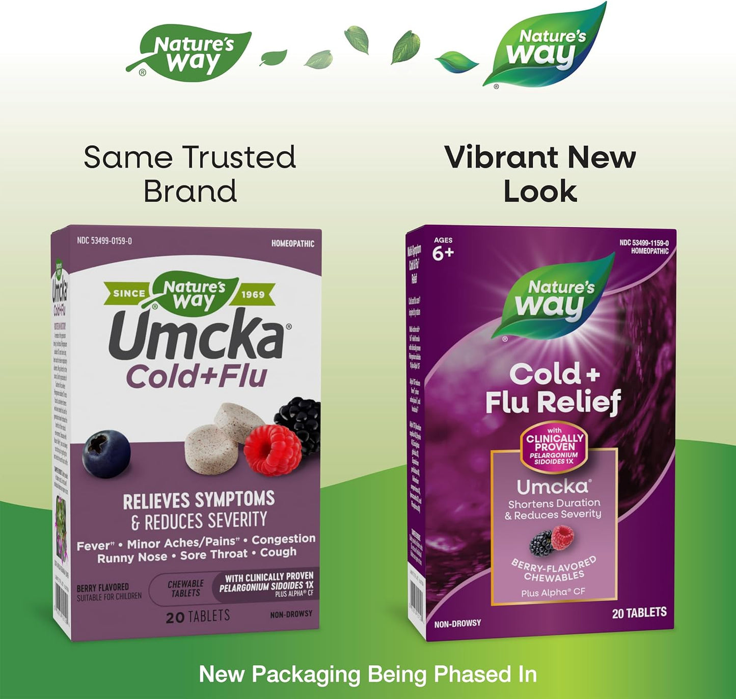 Nature's Way Cold+Flu Relief, Umcka, Shortens  20 Chewable Tablets