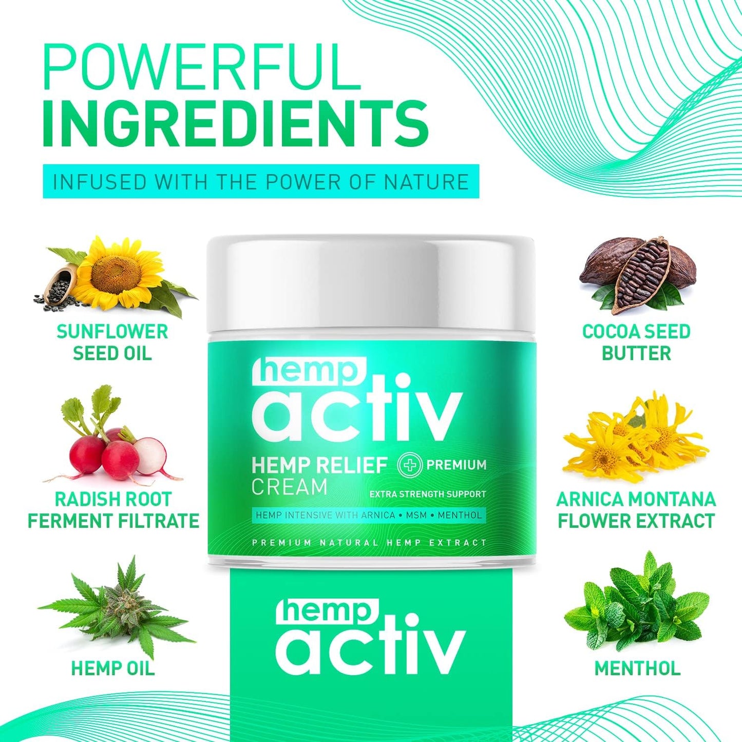 HEMPACTIV Joint & Muscle Relief Cream, Infused with Hemp, Menthol