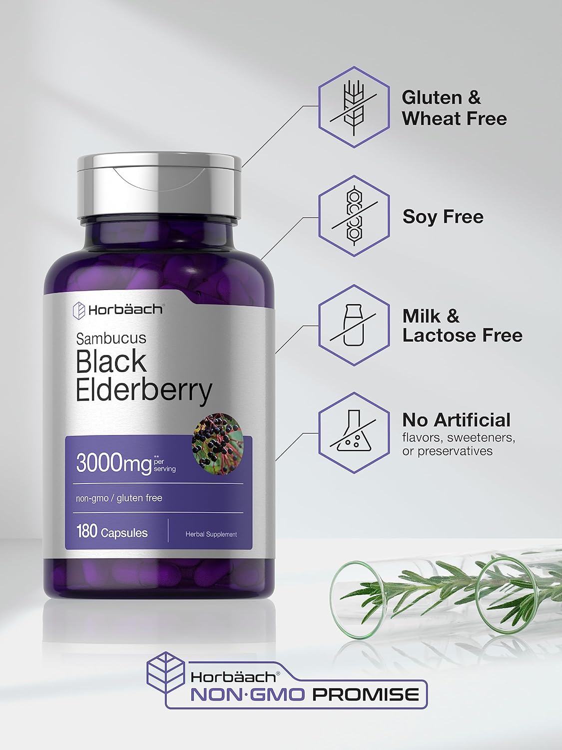 Black Elderberry  Capsules  180 Count