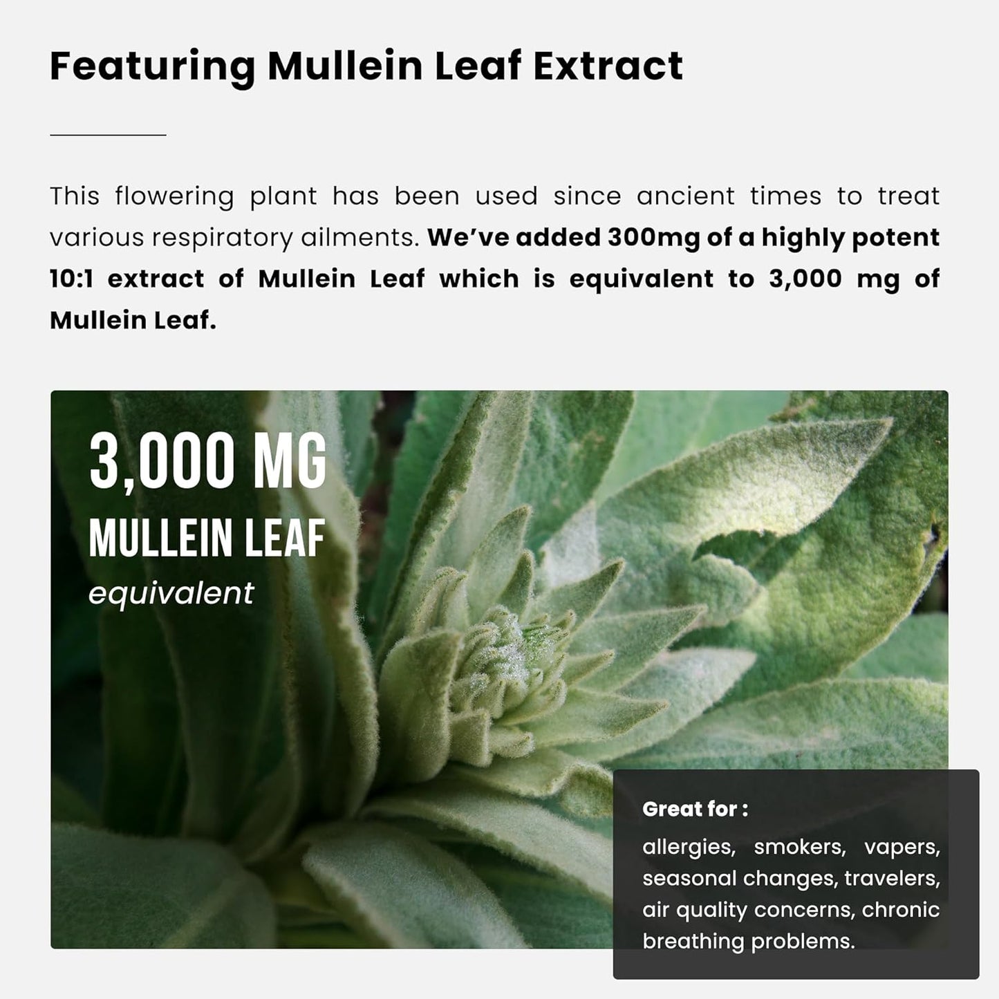 Lung Detox & Cleanse | Mullein Leaf Capsules  60 count