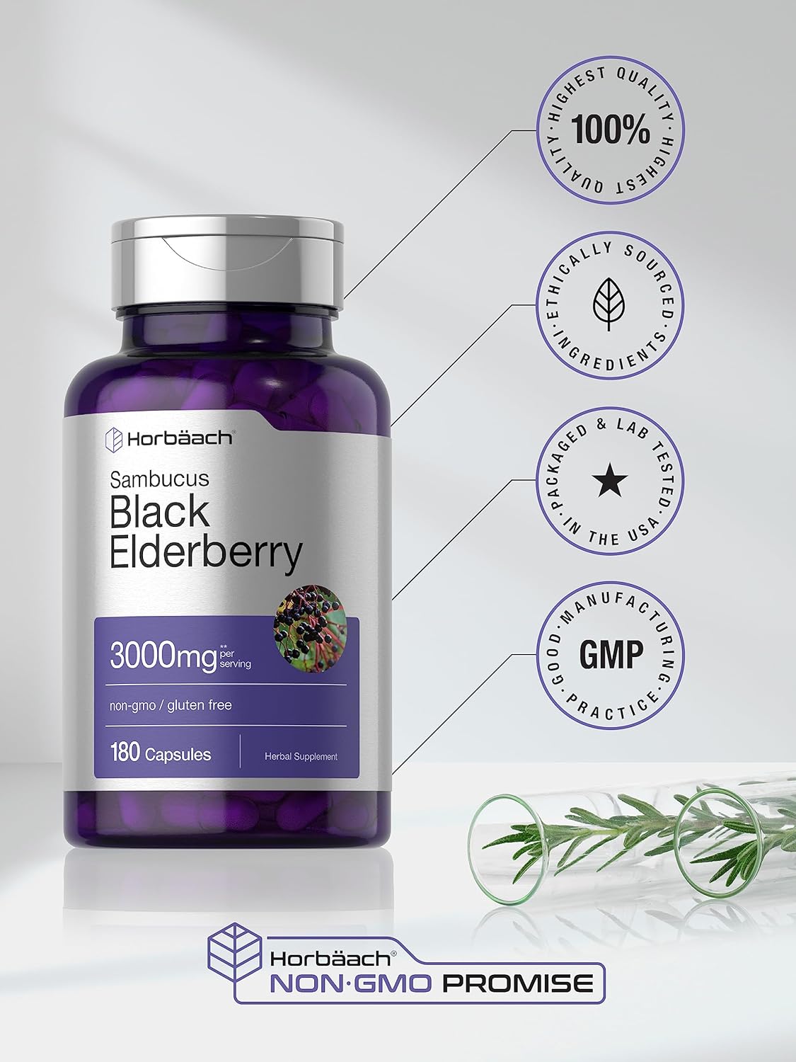 Black Elderberry  Capsules  180 Count