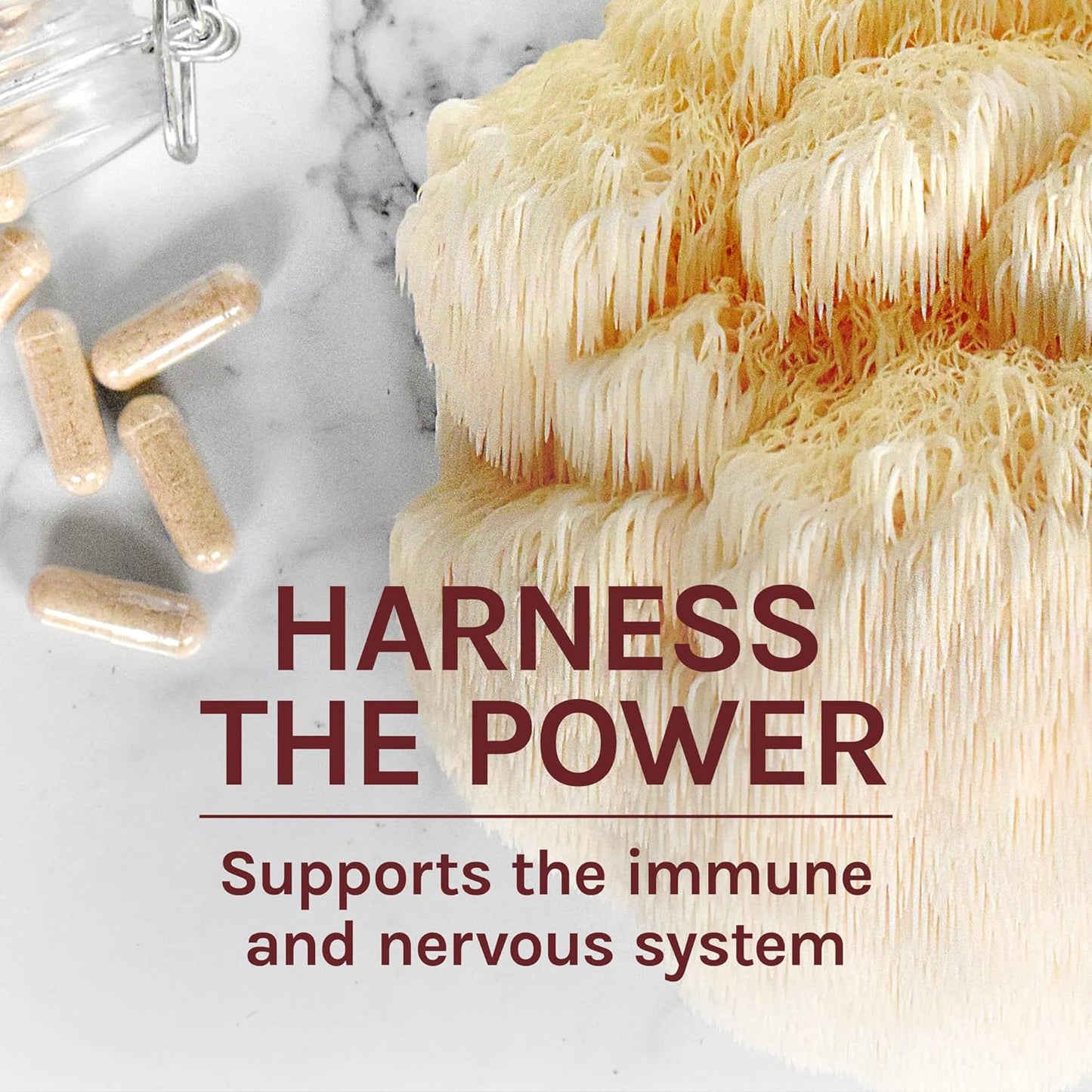 Host Defense mushrooms, Lion's Mane 120 Capsules