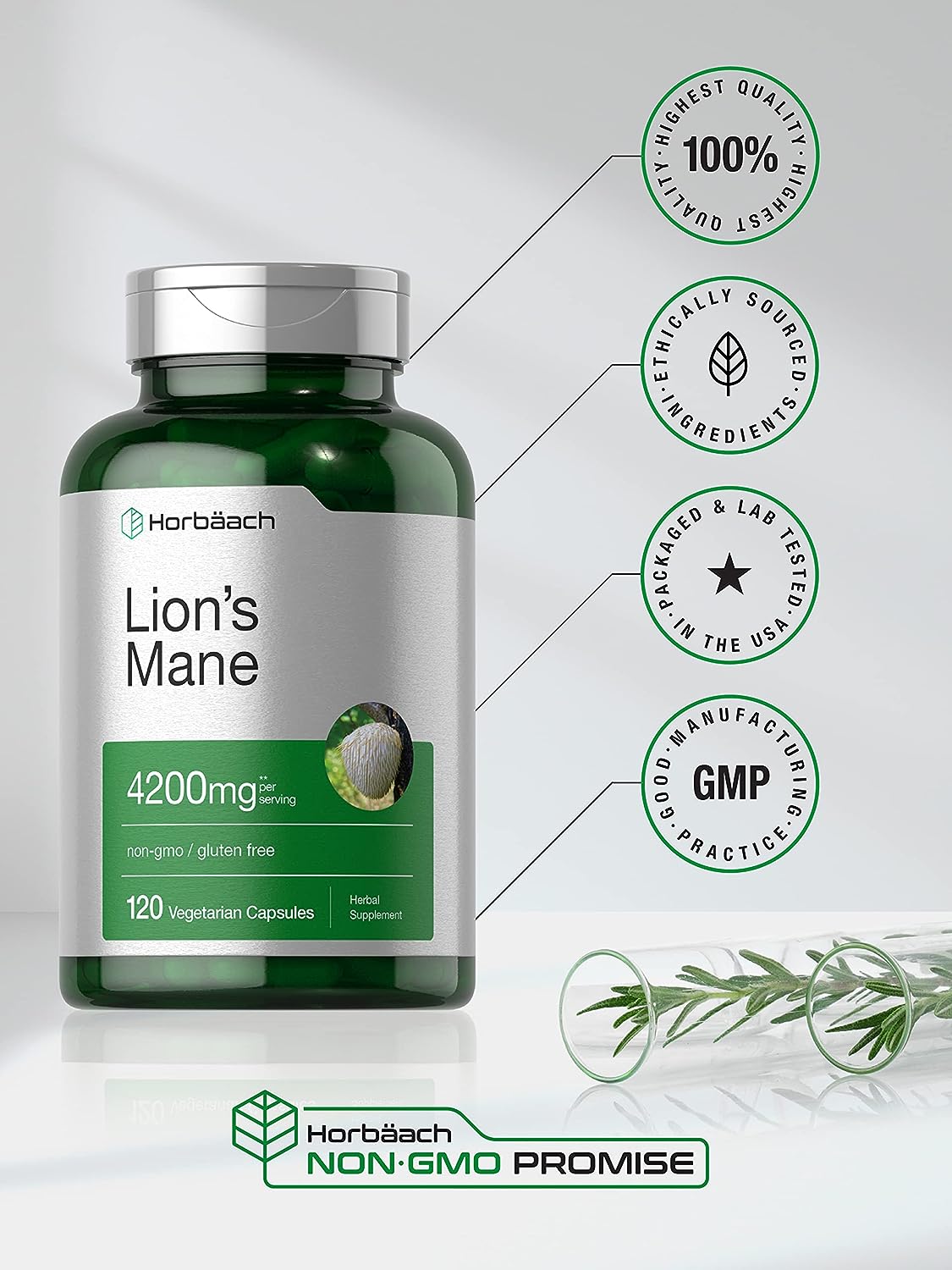 Lions Mane Mushroom Extract 120 Capsules