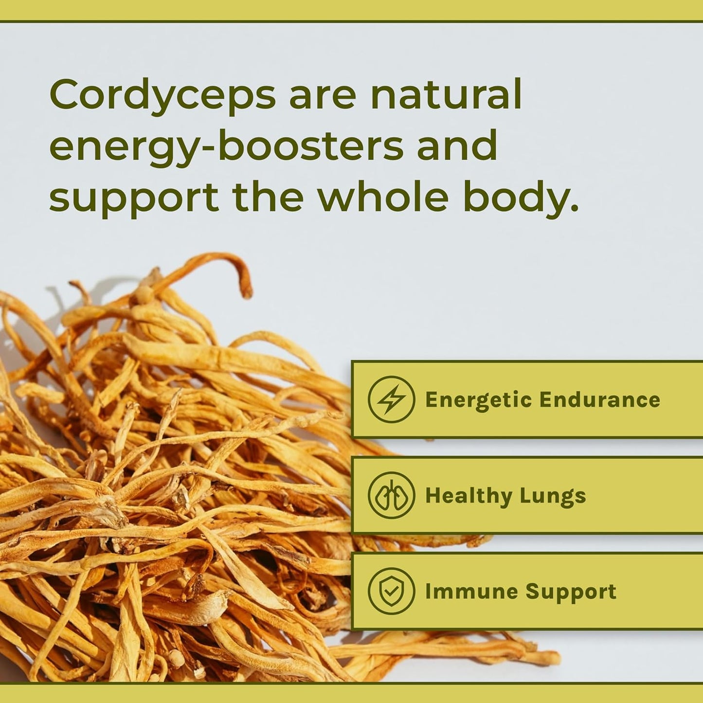 Naturealm - Cordyceps Powder - Nootropic Mushroom