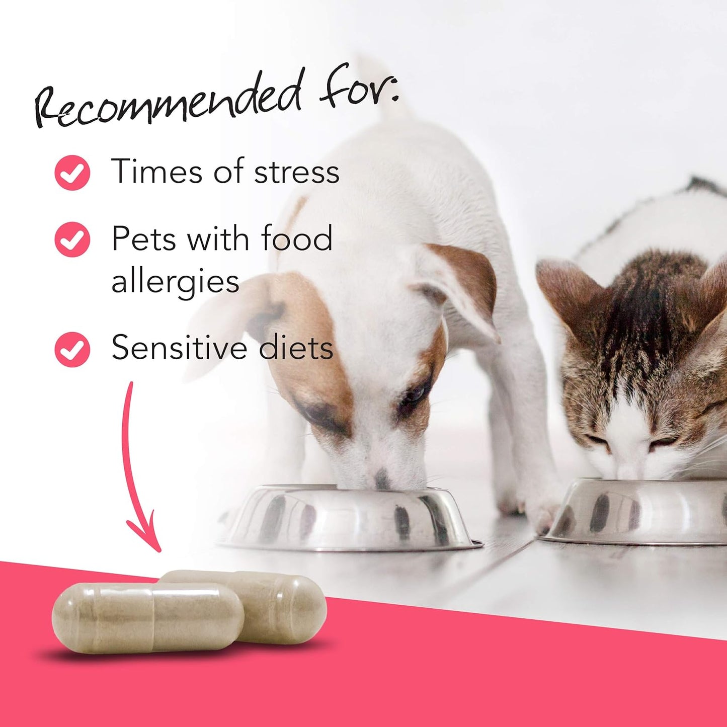 VetriScience Vetri Mega Probiotics for Dogs & Cats– 180 Capsules