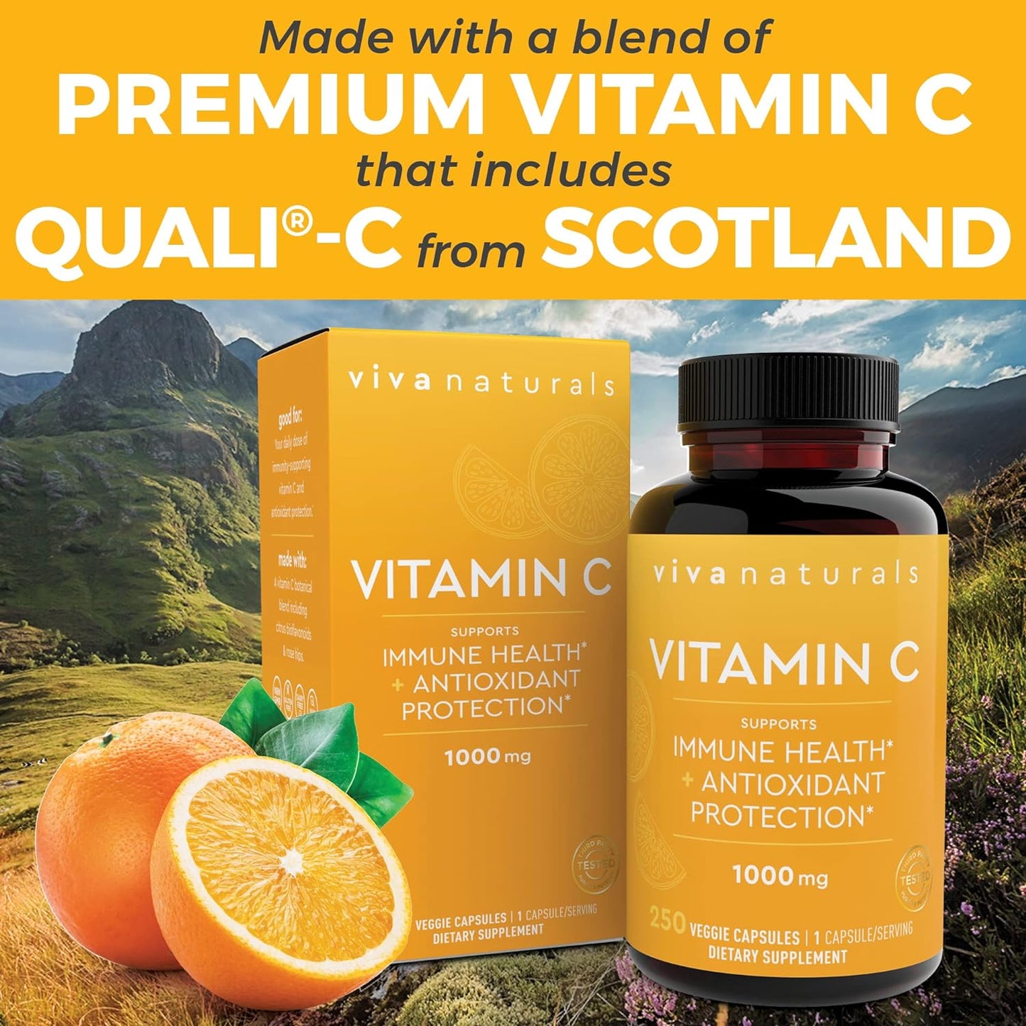 Viva Naturals Vitamin C 1000mg - Non-GMO Vitamin C Supplements 250 cpsules