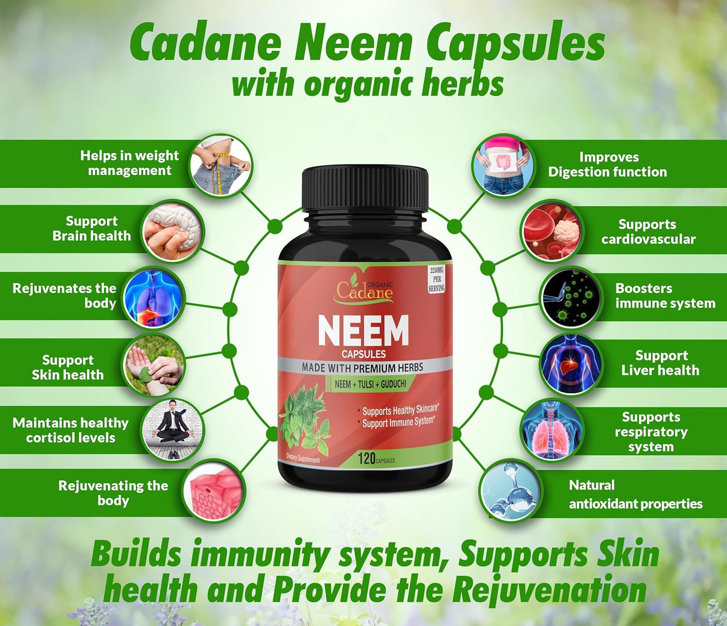 Organic Cadane Neem Leaf Supplements 120 Capsules