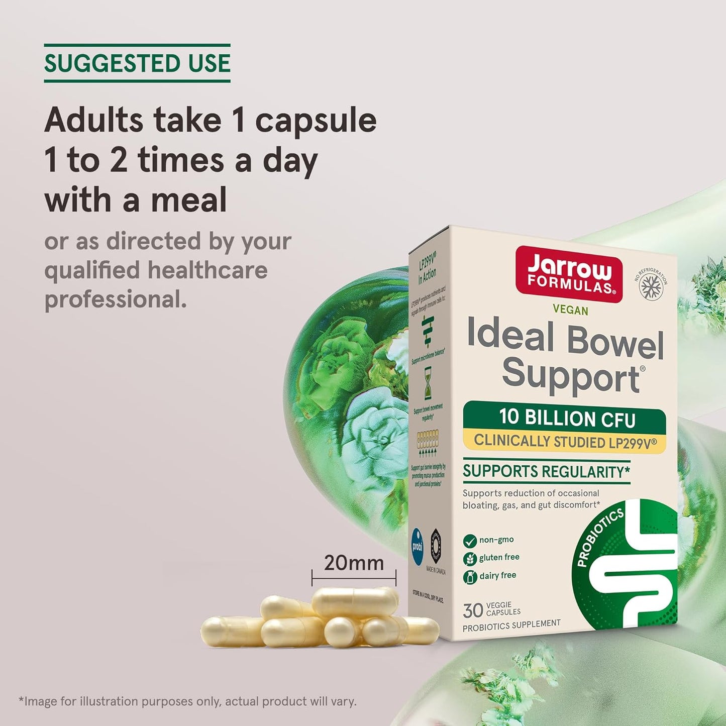 Jarrow Formulas Ideal Bowel Support LP299v,  Gas, Intestinal Discomfort 30 Veggie Capsules