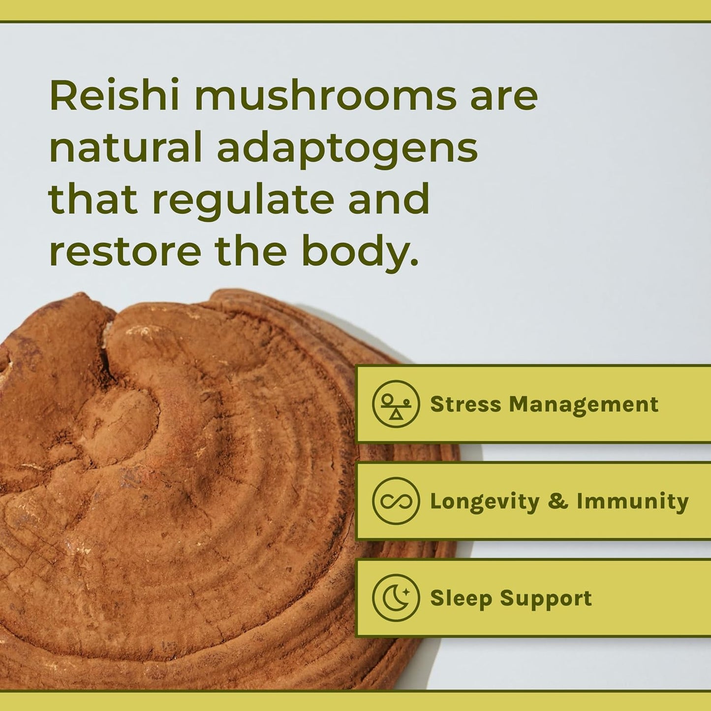 Naturealm - Reishi   Extract Restores Mind and Body 90 Capsules