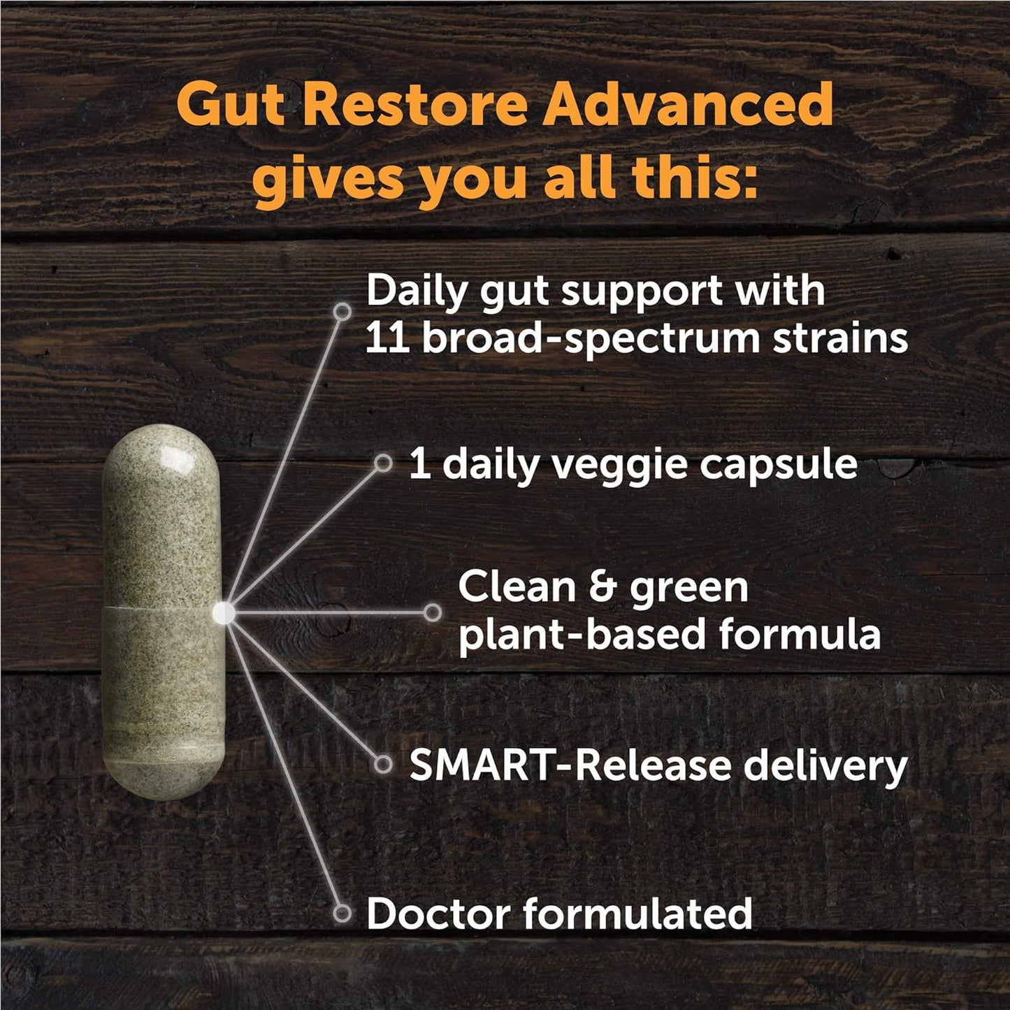 Dr. Drew Sinatra’s LifeBiome Gut Restore Advanced,