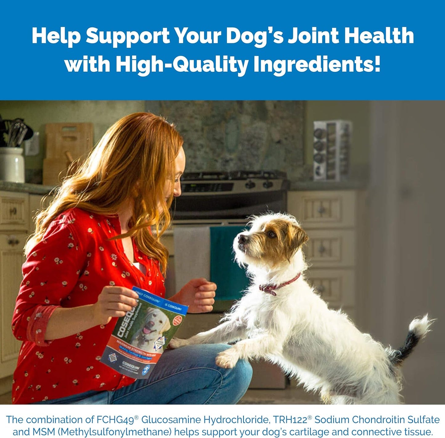 Cosequin Senior Joint Health Supplement for Senior Dogs -60 Soft Chews