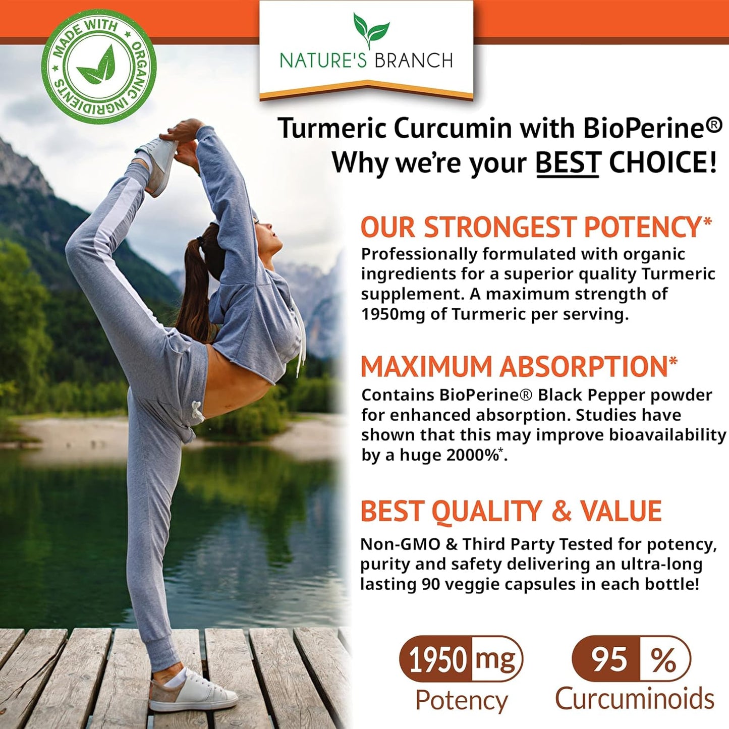 Turmeric Curcumin with Black Pepper BioPerine  90 Capsules