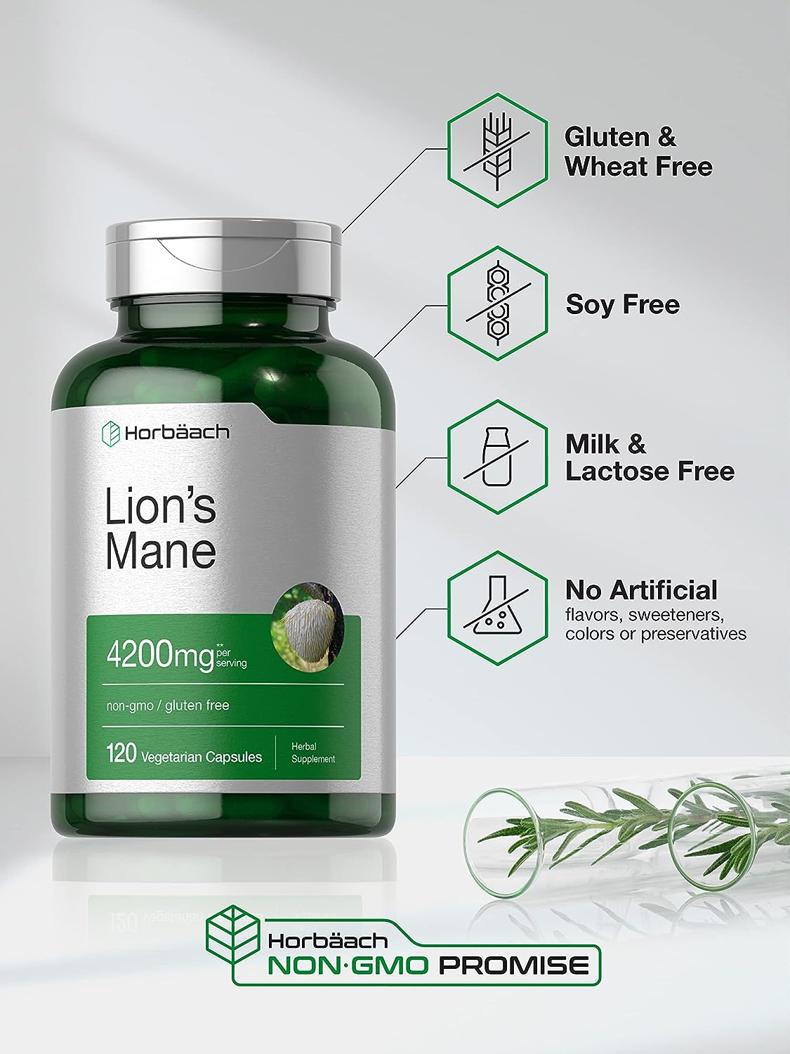 Lions Mane Mushroom Extract 120 Capsules