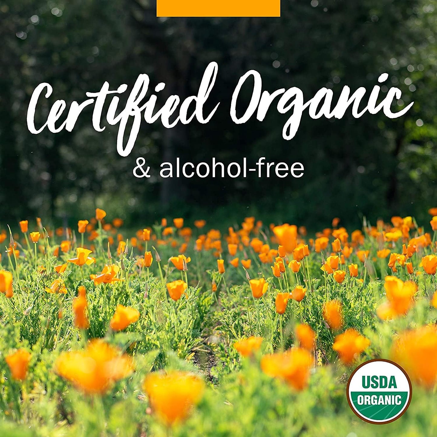 Herb Pharm Kids Certified-Organic Alcohol-Free Echinacea