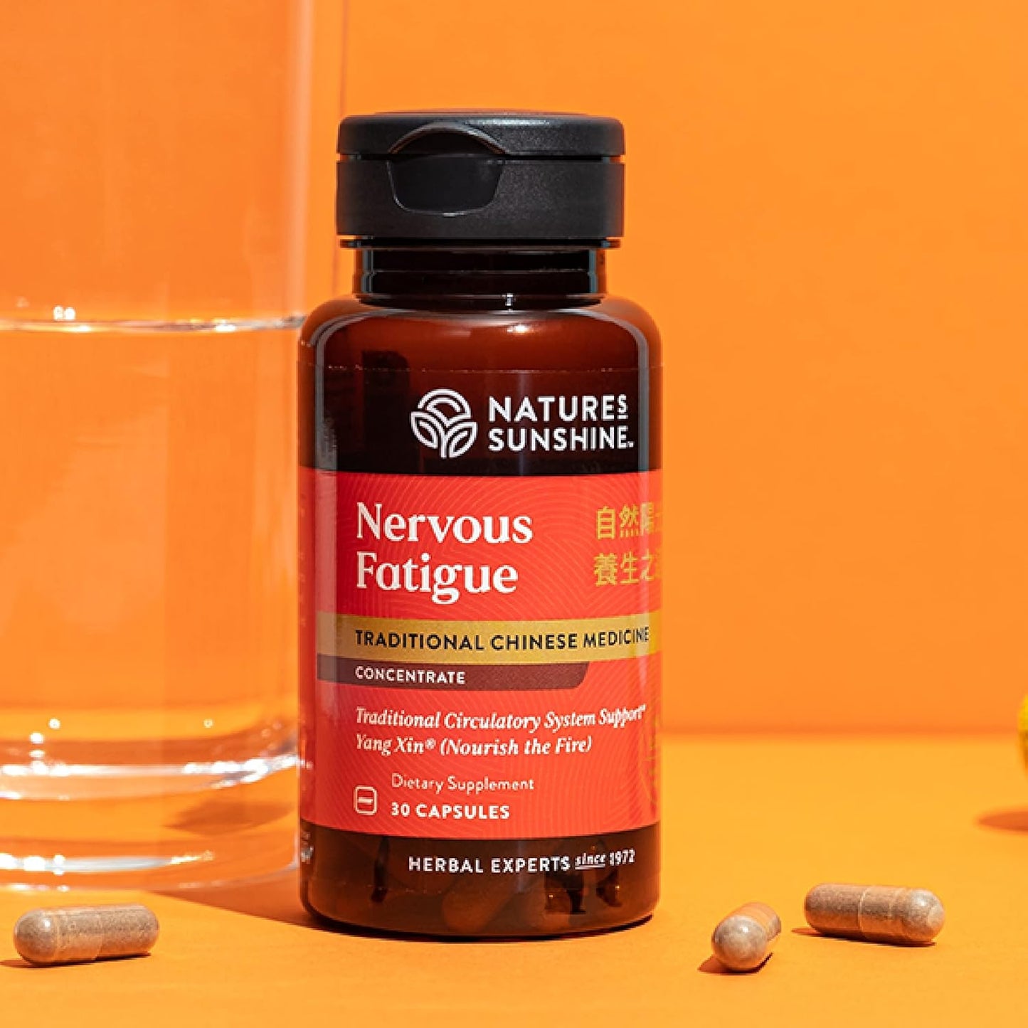 Nature's Sunshine Nervous Fatigue TCM Concentrate 30 Capsules