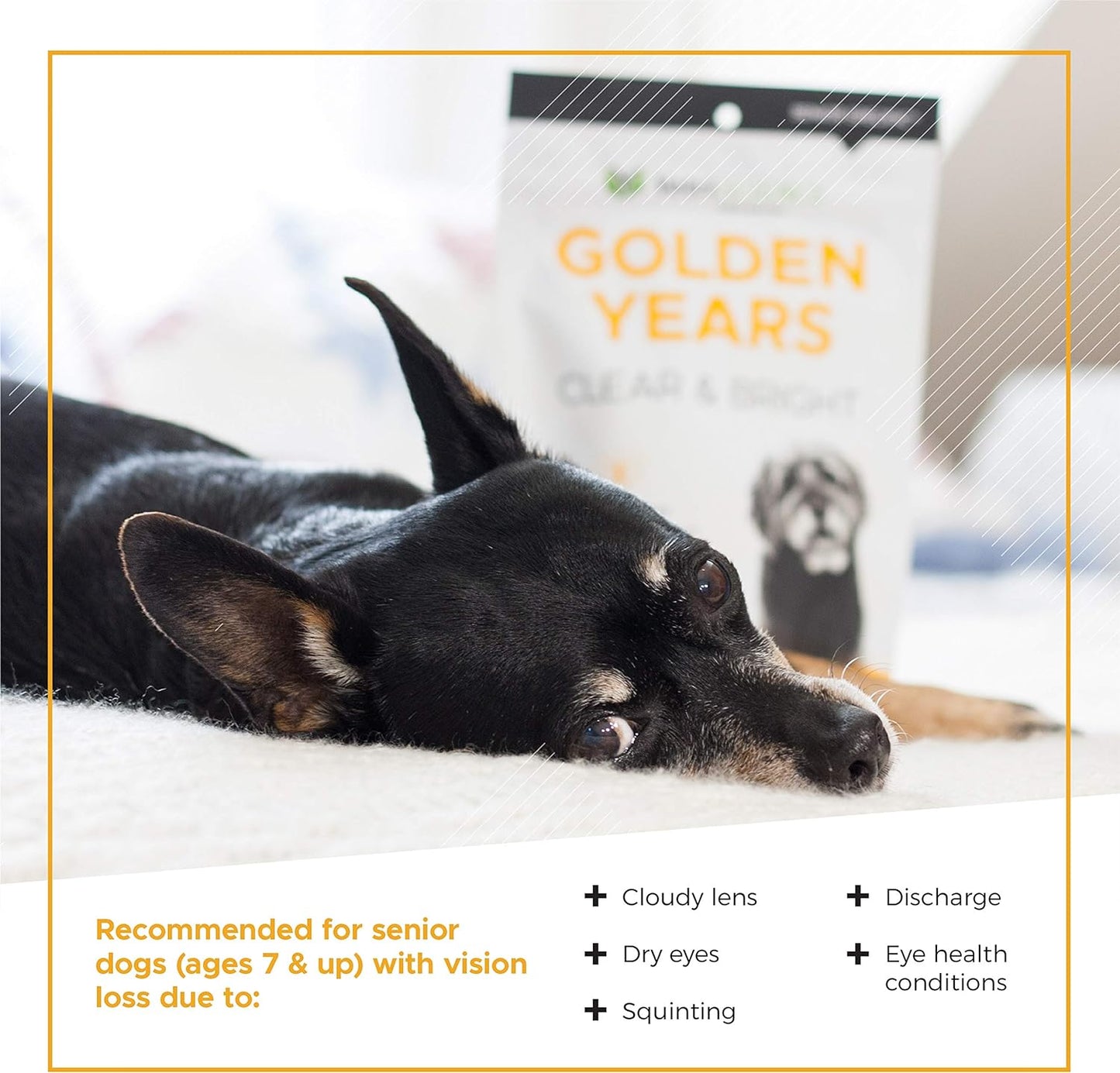 VetriScience Golden Years Clear and Bright Vision Support for Senior Dogs, Chicken Flavor, 60 Chews