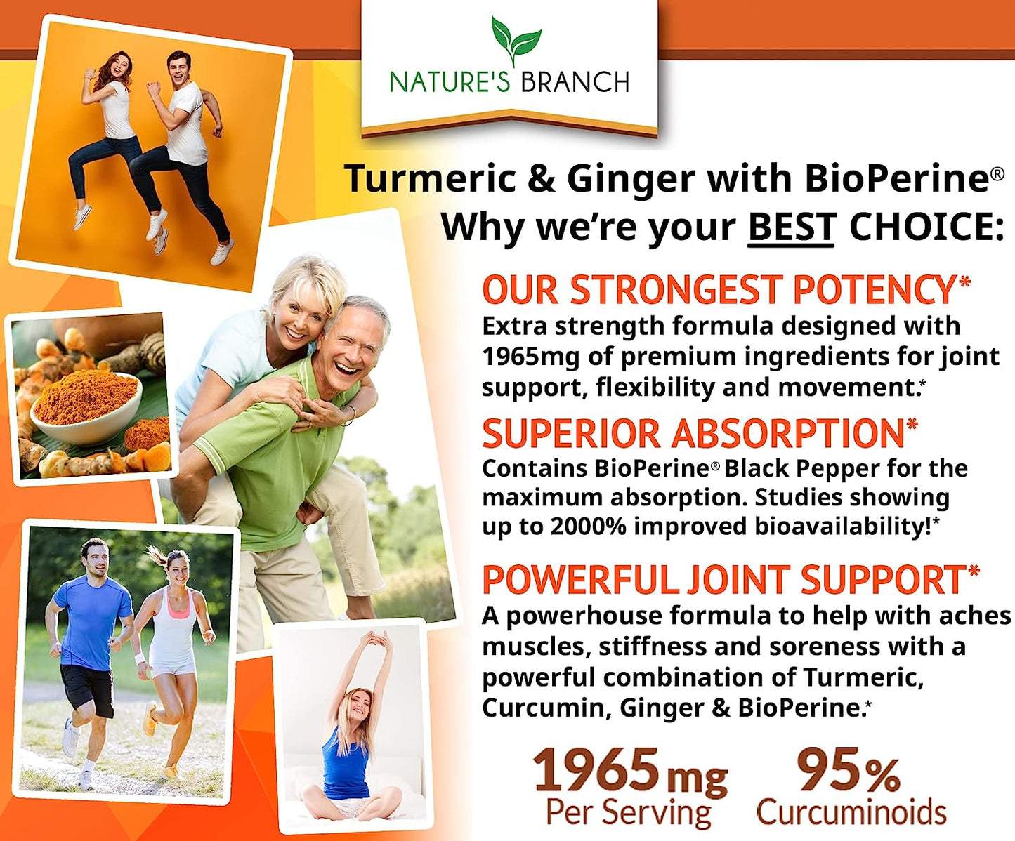 Extra Strength Turmeric Curcumin and Ginger & BioPerine -90 Capsules