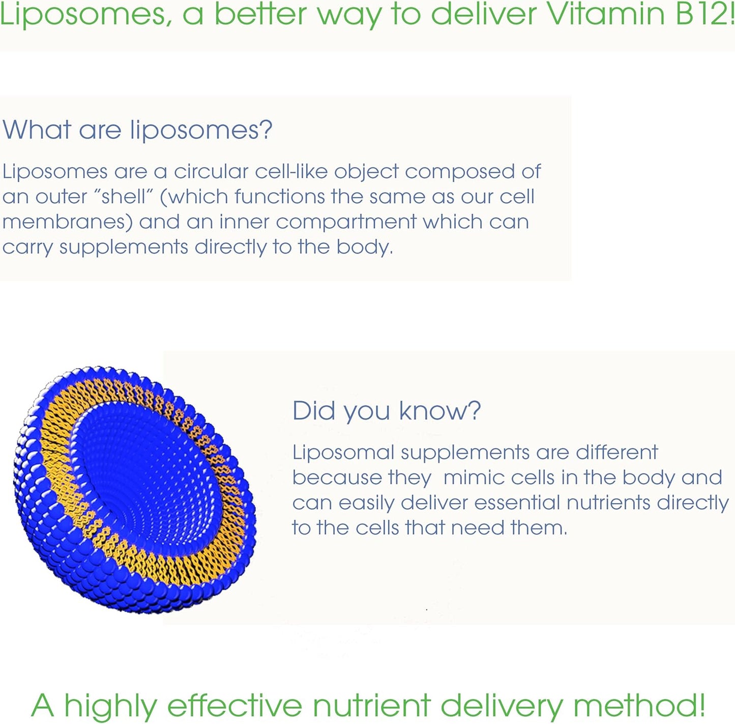 UltimateVitality Liposomal Curcumin Liquid, Liposomal  Enhanced with Resveratrol 6 FL oz