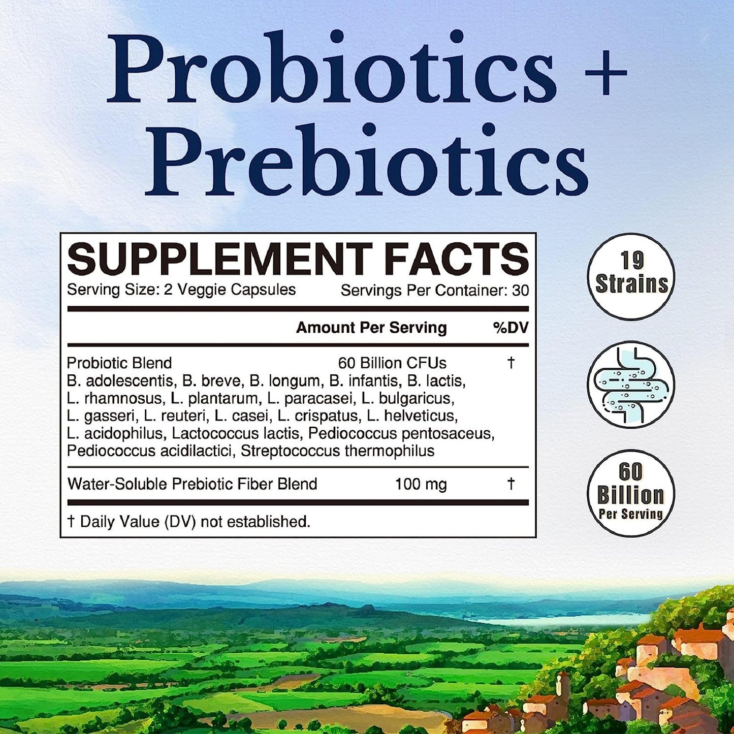 VITALITOWN Probiotics + Prebiotics | 60 Billion CFUs 19 Strains | 60 Delayed Release Veg Caps