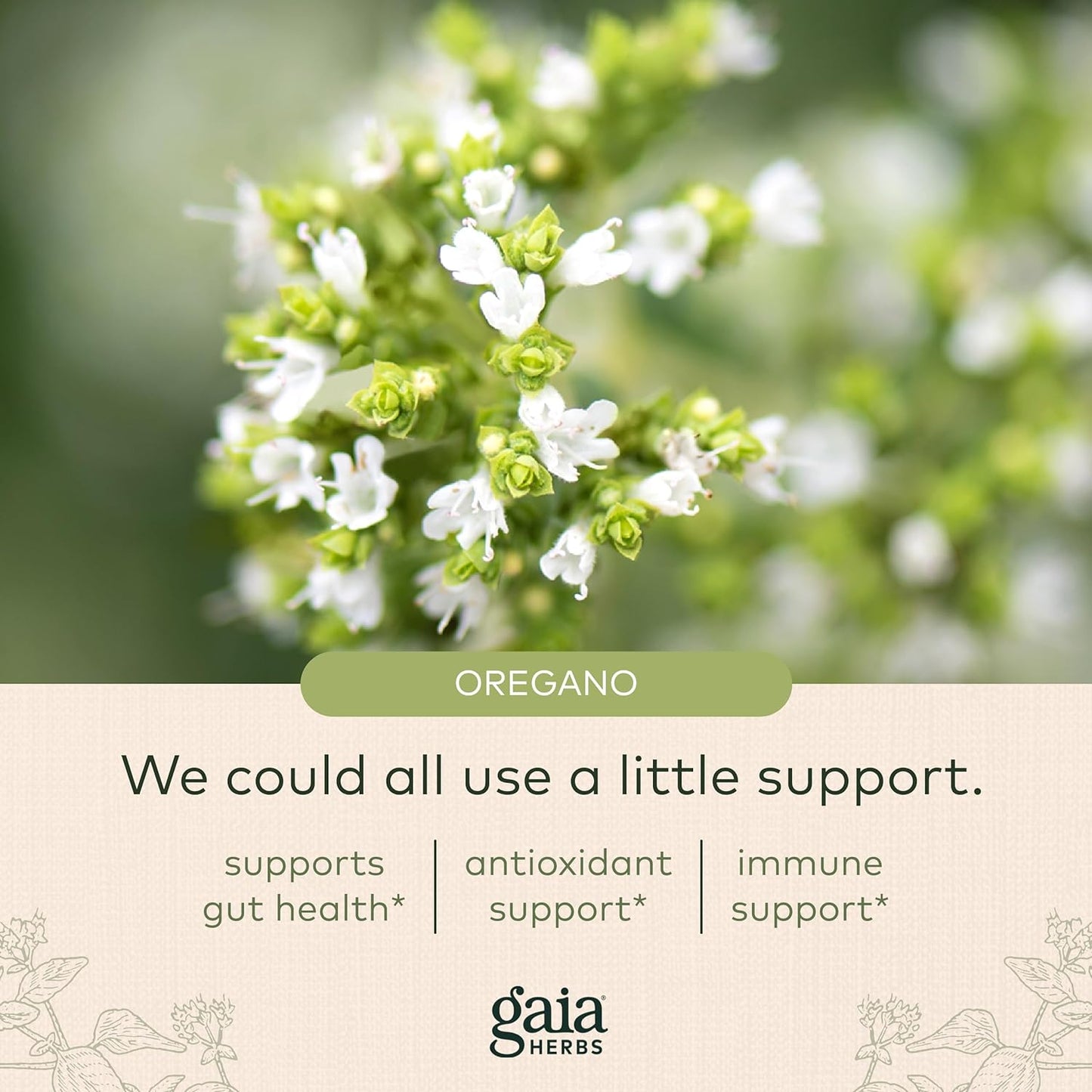 Gaia Herbs Oil of Oregano - Immune and Antioxidant Support 60 count