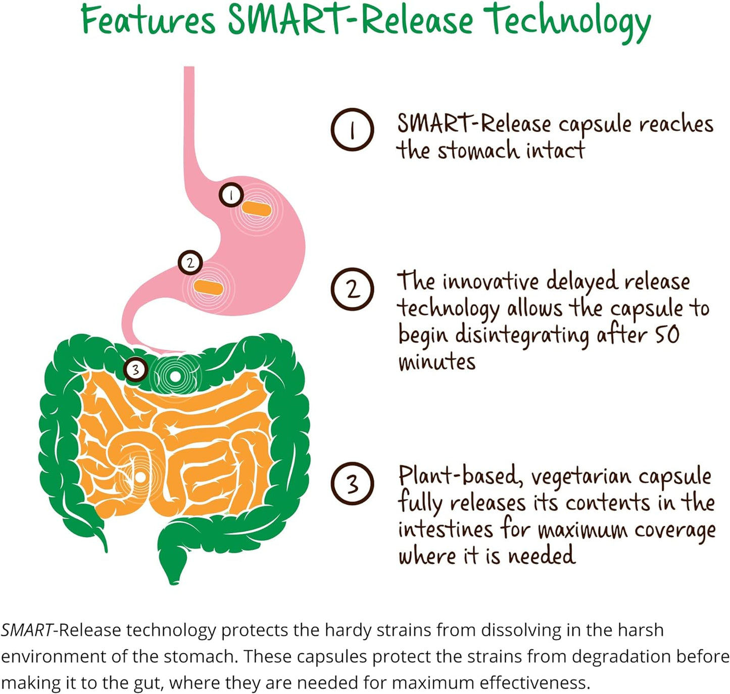 Dr. Drew Sinatra’s LifeBiome Gut Restore Advanced,