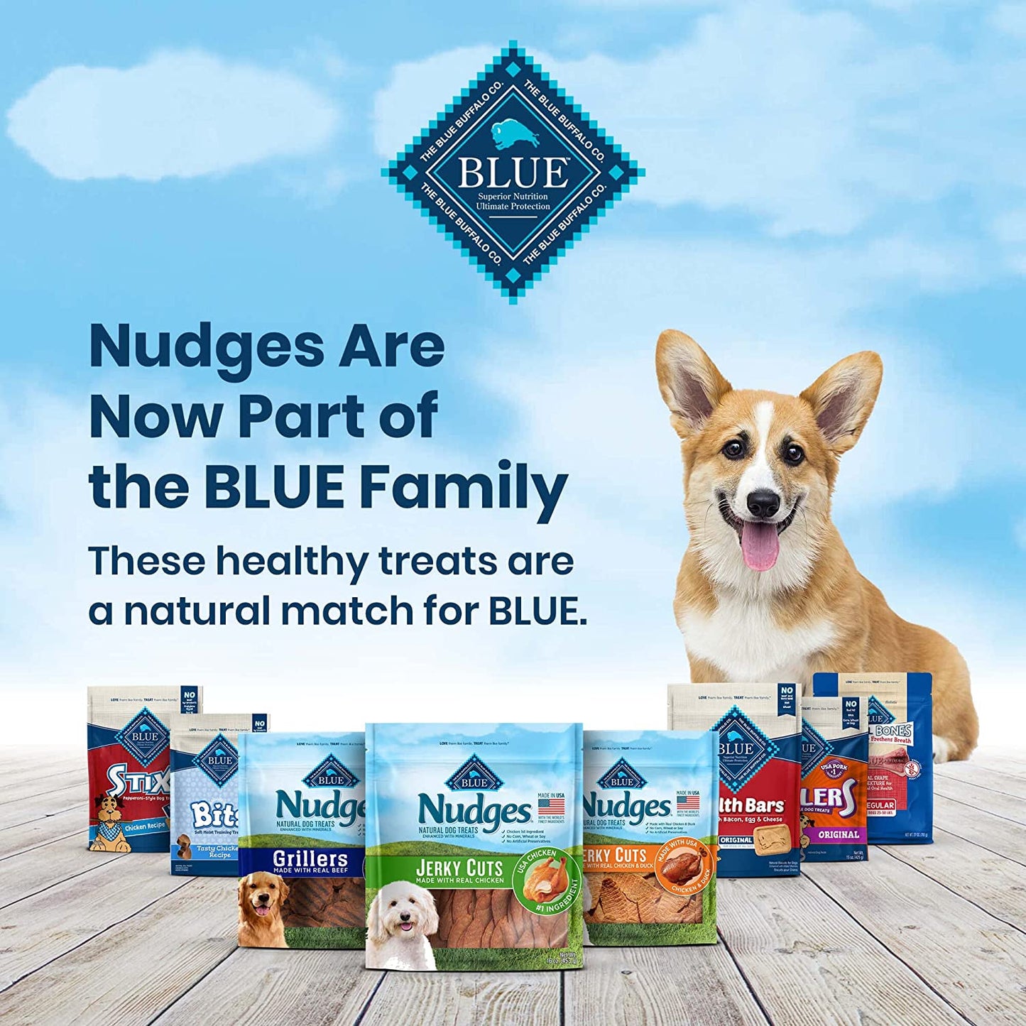 Blue Buffalo Nudges Jerky Cuts Natural Dog Treats