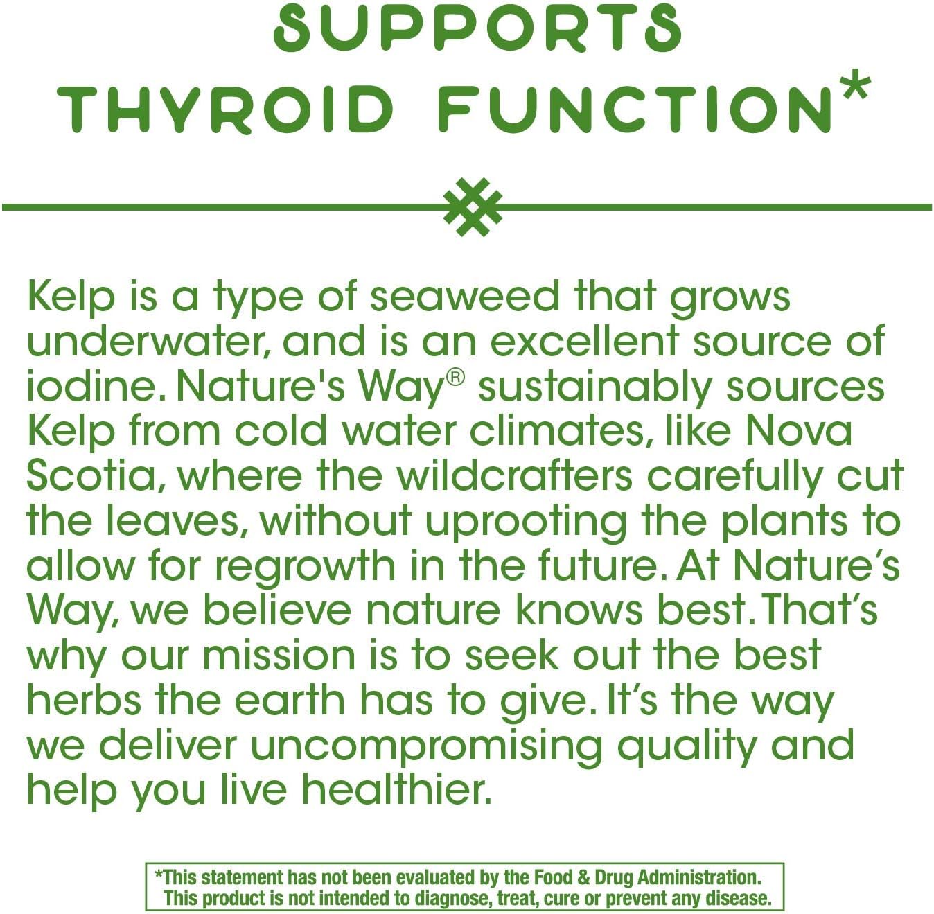 Nature's Way Kelp Supports Thyroid Function Vegan 180 Capsules