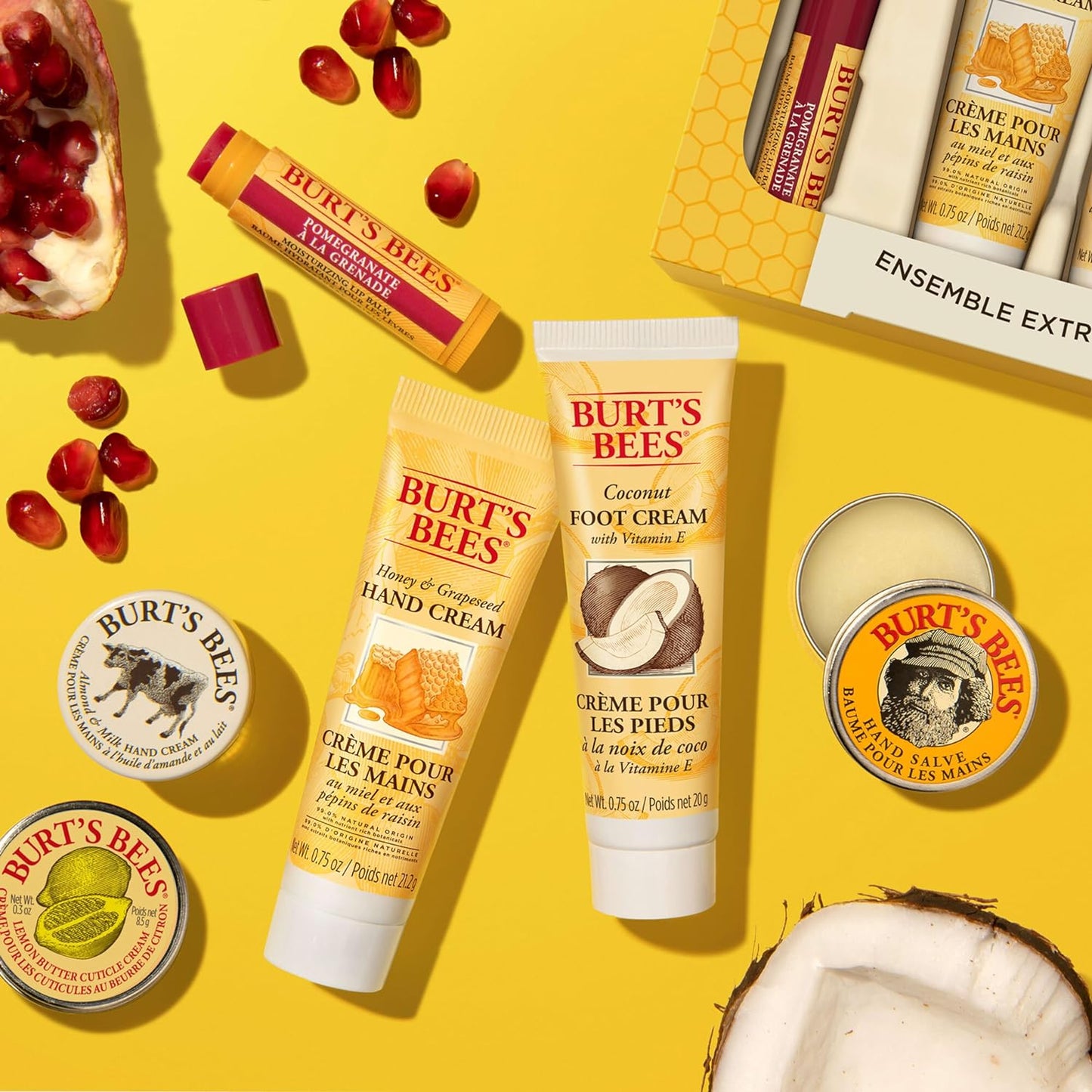 Burt's Bees Tips and Toes Kit 6 Travel Size Products in Gift Box