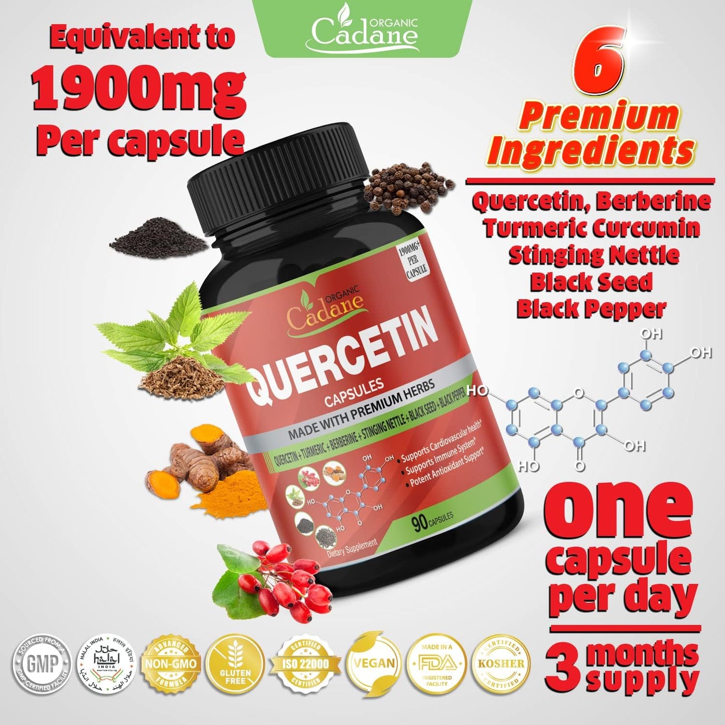 Organic Cadane Quercetin Extract  90 Capsules