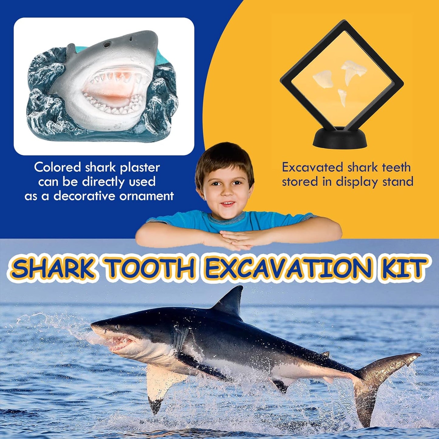 Lehoo Castle Ocean Animals Dig Kit, 3 Shark Teeth Fossils