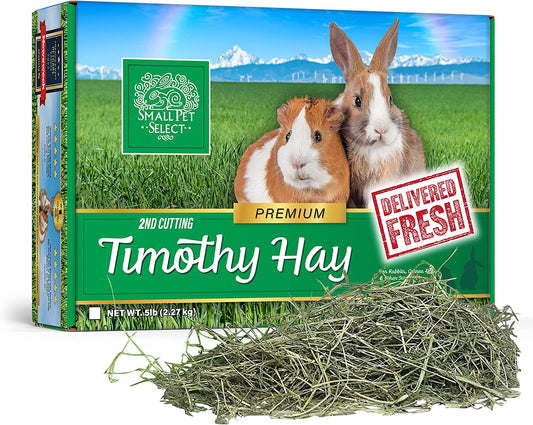 Small Pet Select 2nd Cutting Timothy Hay Pet Food, 10-Pound