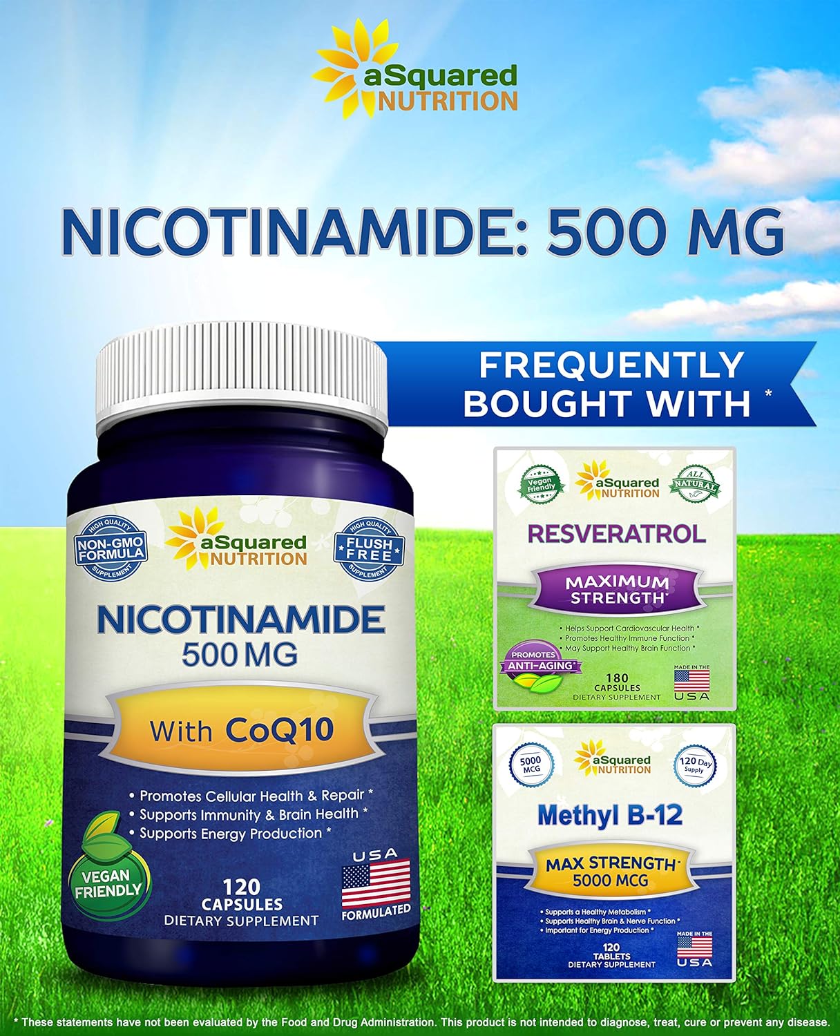 Nicotinamide with CoQ10 (120 Capsules)