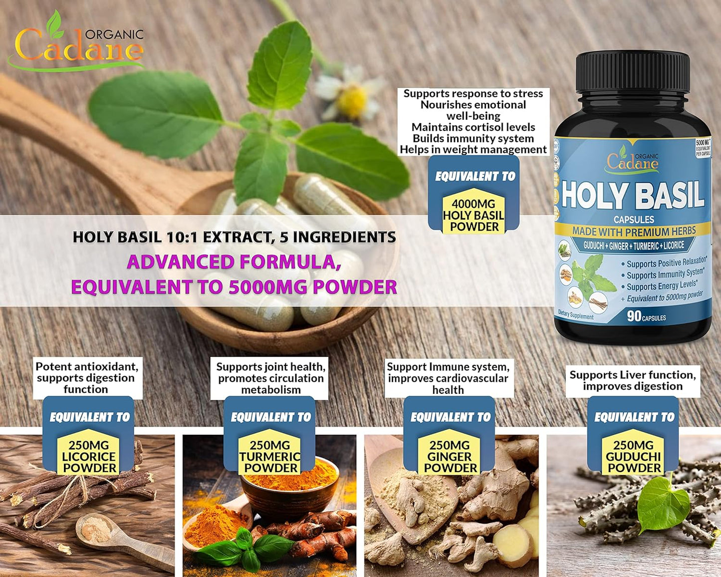 Holy Basil Supplements  90 Capsules